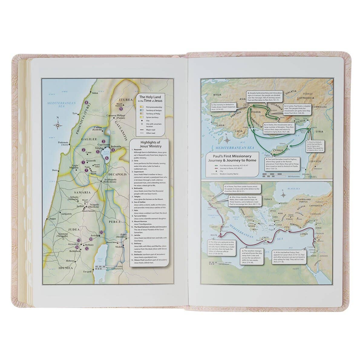 KJV Bible Deluxe Gift Faux Leather, Pink 2025
