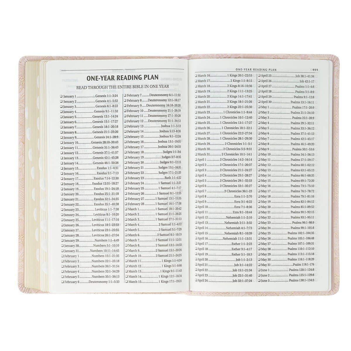 KJV Bible Deluxe Gift Faux Leather, Pink 2025